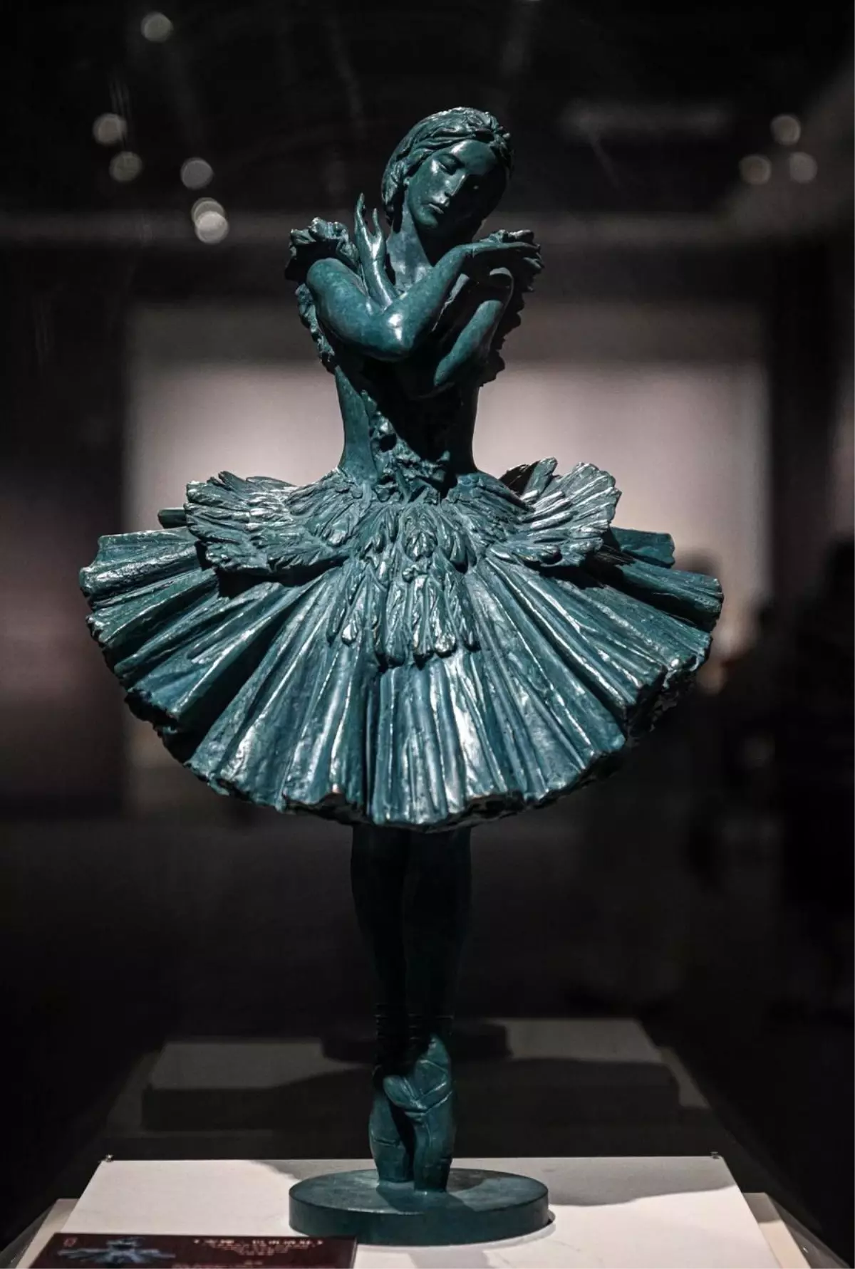 Hainan Müzesi’nde Rus Sanatçı Sergisi