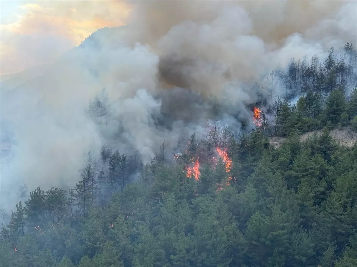 Karabük’te Orman Yangını Yeniden Başladı