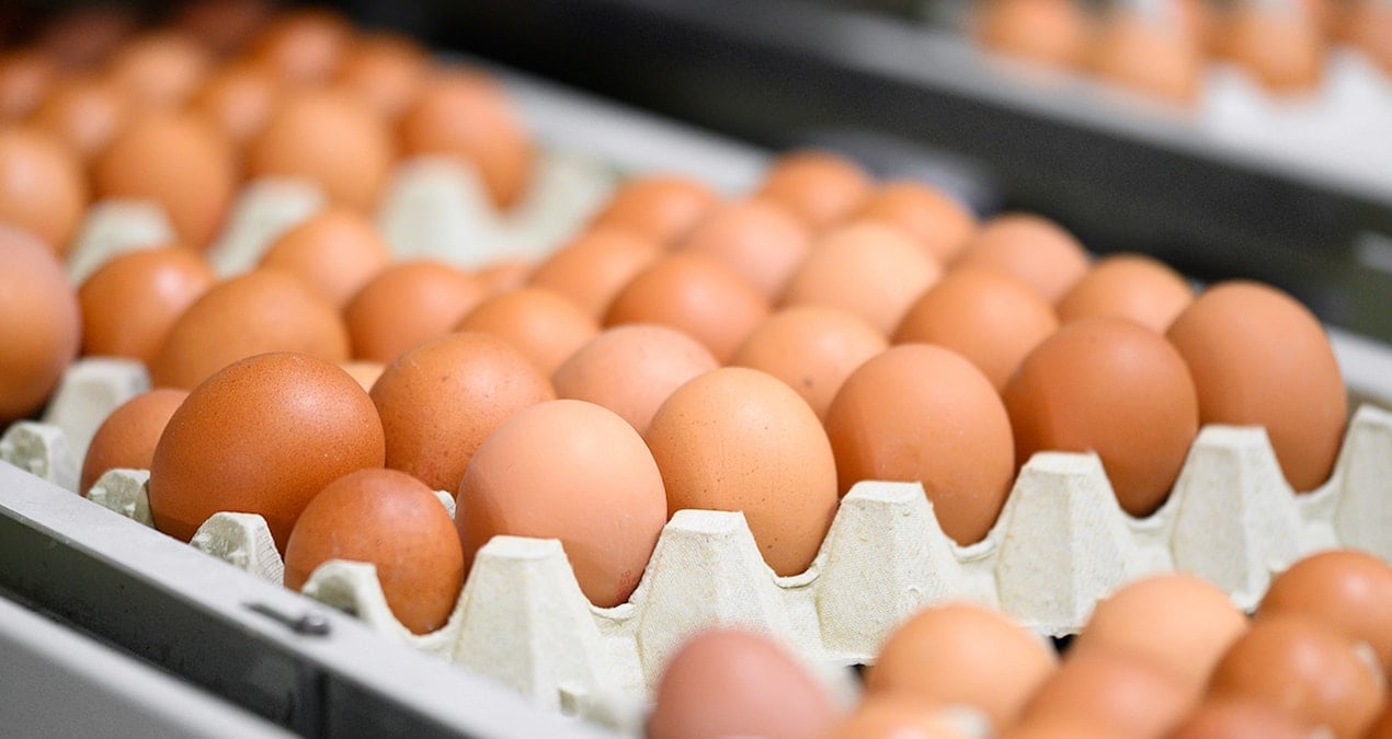 Market raflarındaki yumurtalar acilen geri çağrılıyor: Uzmanlar tek tek uyardı