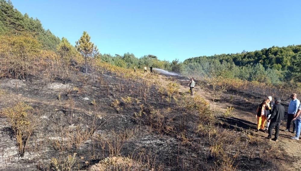 Bilecik’te orman yangını paniği