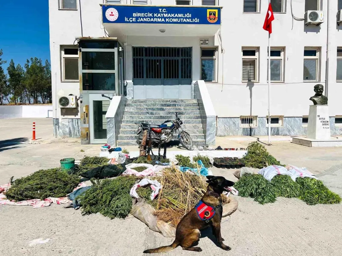 Birecik’te Uyuşturucu Operasyonu