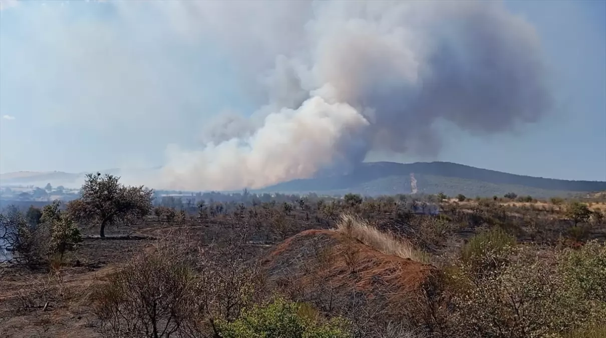 Gelibolu’da Tarım Arazisinde Yangın