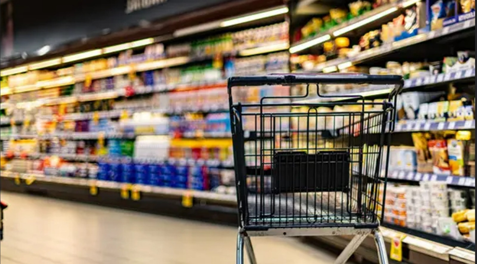 O üründe zam sinyali! Çiftçi hasatta kayıp yaşadı