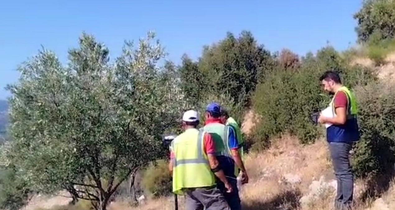 Zeytin katliamı mesaisi başladı