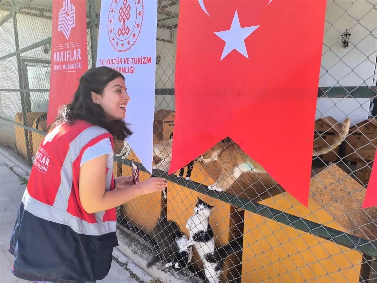 Diyarbakır’da Hayvanlara Destek