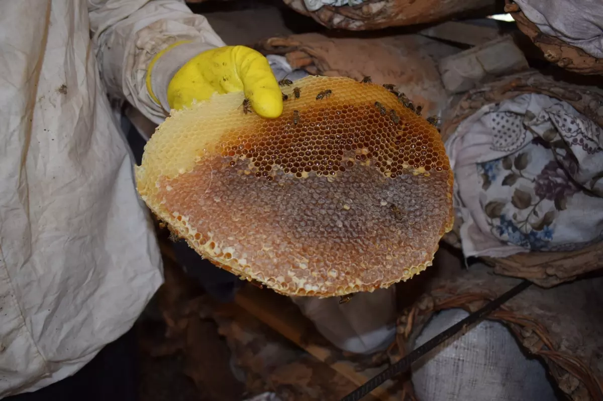 Sason’da Geleneksel Kara Kovan Arıcılığı