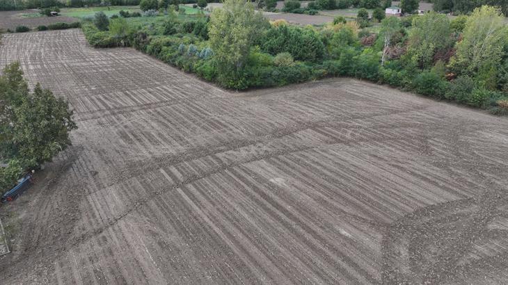 Son yağışlar Trakya çiftçisinin yüzünü güldürdü
