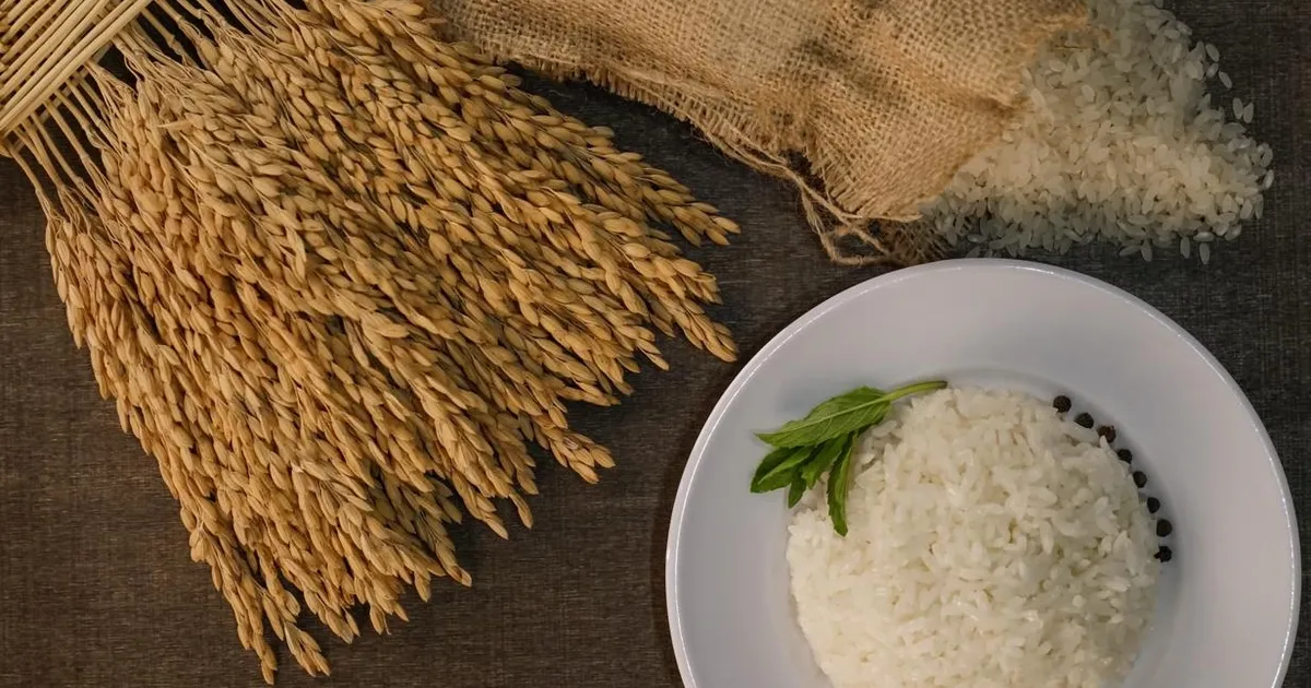 İpsala Pirinci’ne AB tescili… Trakya’nın ilk ve tek AB coğrafi işaretli ürünü