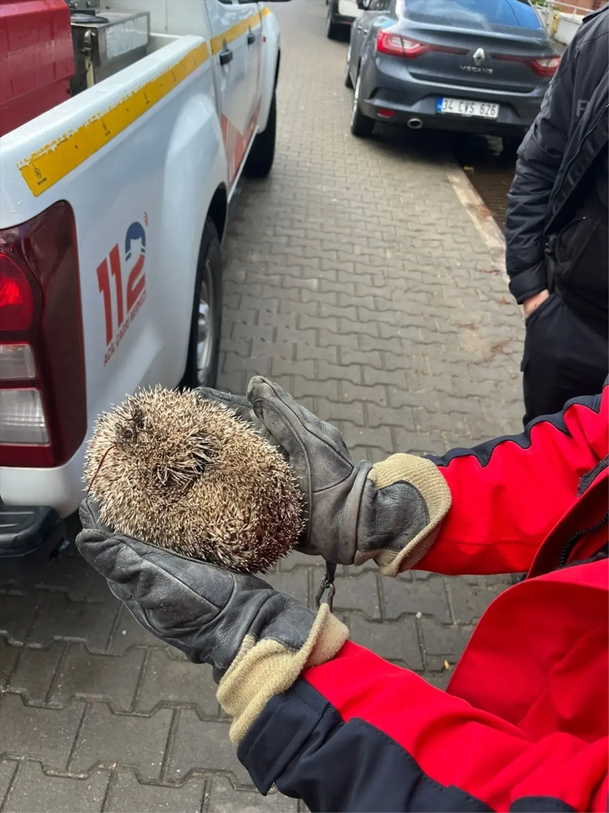 Yağmur Giderine Sıkışan Kirpi İtfaiye Ekipleri Tarafından Kurtarıldı