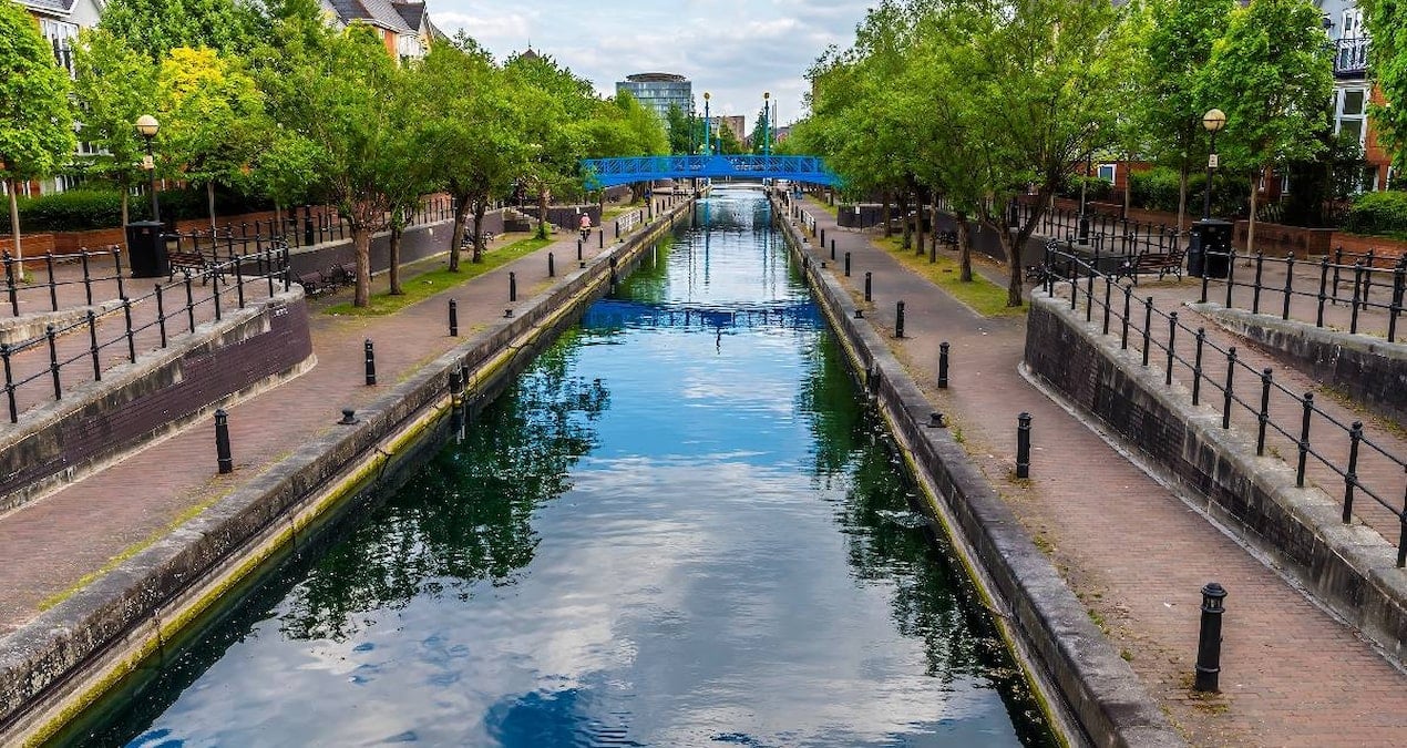 Herkes kütük sanıyordu ama canlı çıktı: Suda gören donup kaldı