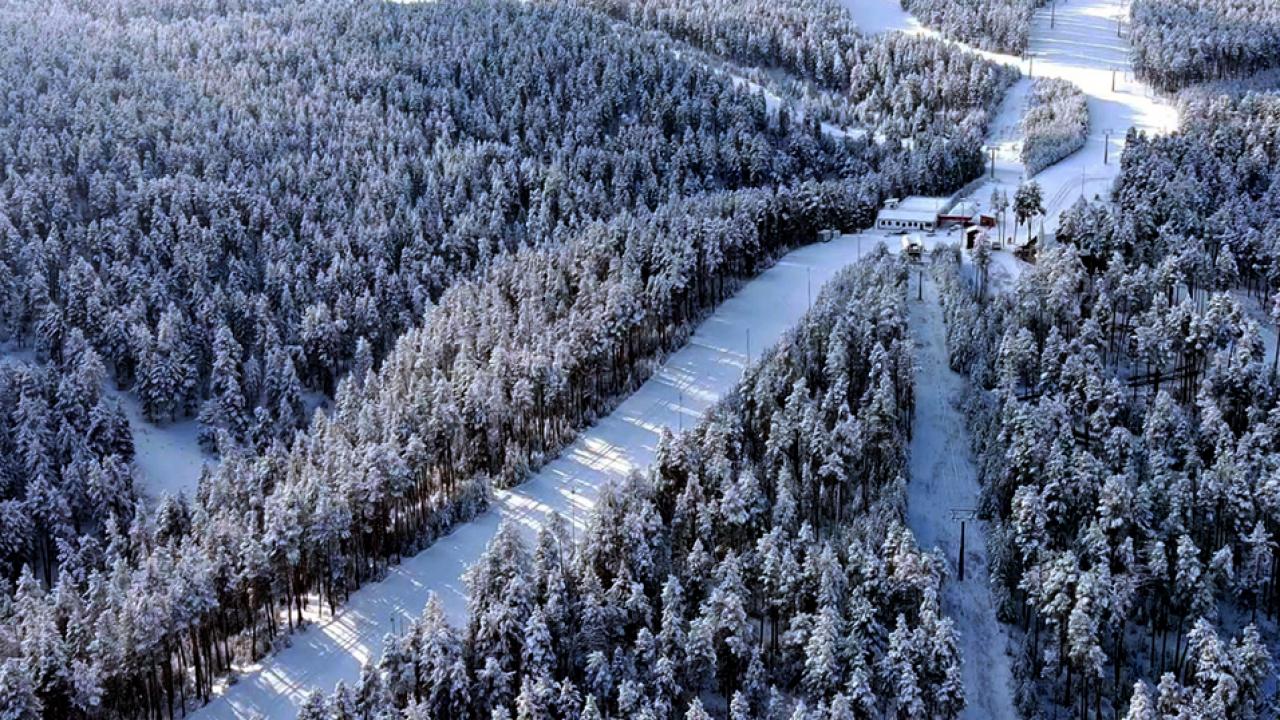 Sarıçam ormanlarında beyaz rüya: Kars’ta karla kaplanan ormanlar dronla görüntülendi