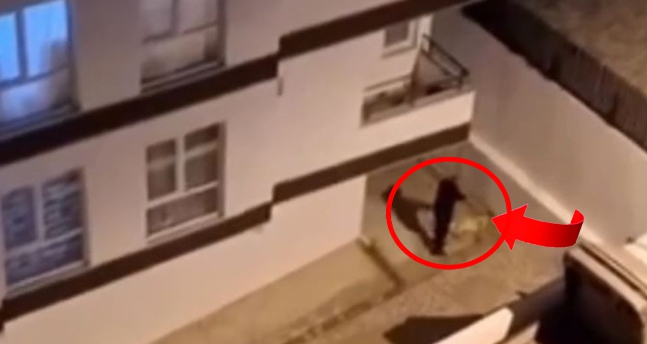 Vatandaş cep telefonuyla kaydetti: Polisin tabancasıyla köpeği vurduğu anlar