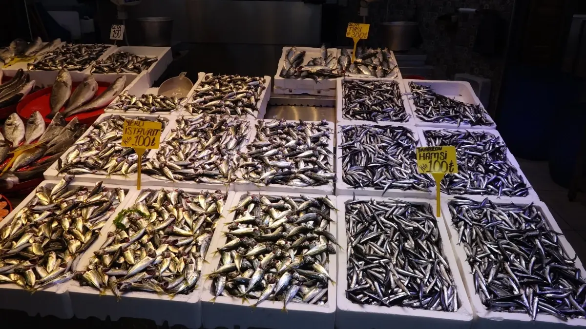 Kar Yağışı Balık Avını Olumsuz Etkiledi