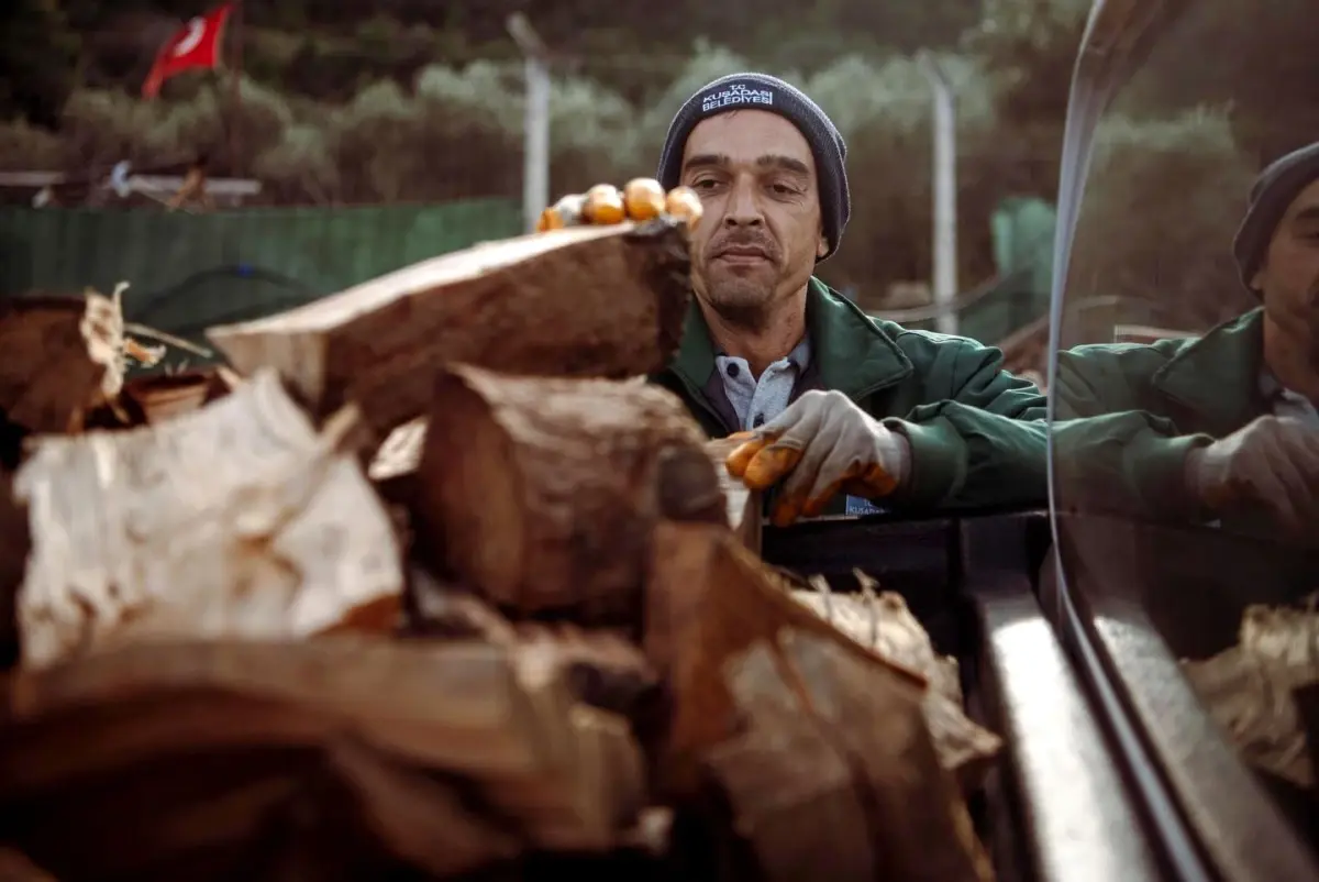 Kuşadası’nda ağaç atıkları ihtiyaç sahipleri için yakacağa dönüşüyor