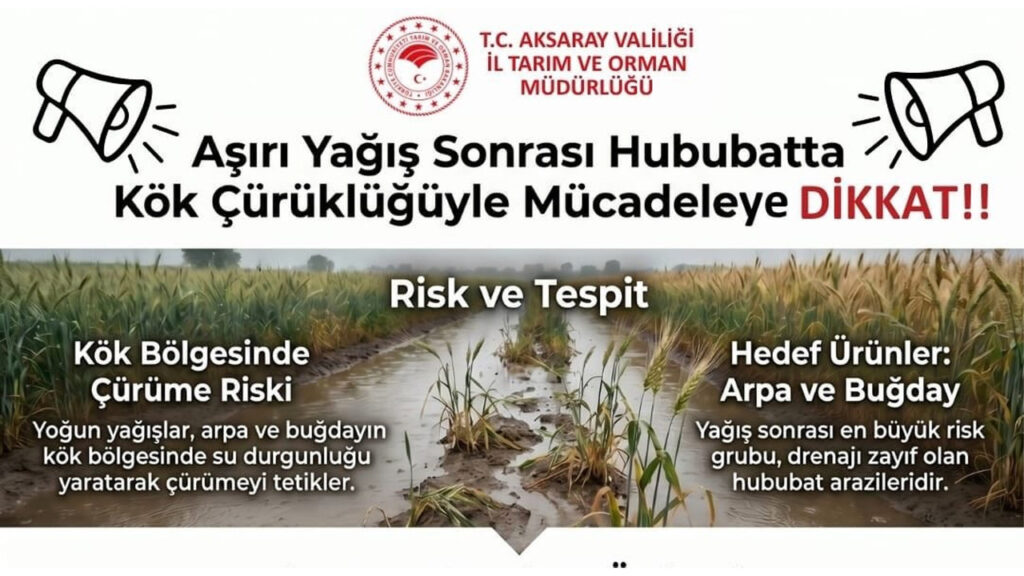 Aksaray’da Aşırı Yağışlar Hububat Üretimini Tehdit Ediyor