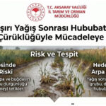 Aksaray’da Aşırı Yağışlar Hububat Üretimini Tehdit Ediyor