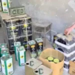 Aydın’da Sağlık Skandalı: Tağşiş Ürünler İçin Depo Sahibine Milyonluk Cezalar!
