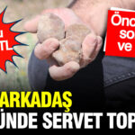 Dört Arkadaşın Tek Günlük Mantar Avı: Kilosu 1.700 TL, Kazançları Hayallerini Gerçekleştirdi