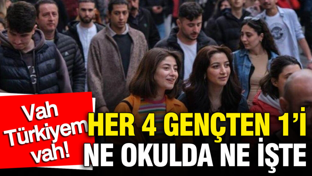 TÜİK’in “Gençlik İstatistikleri 2025” Raporu: Her Dört Gençten Biri Eğitim ve İstihdam Dışı