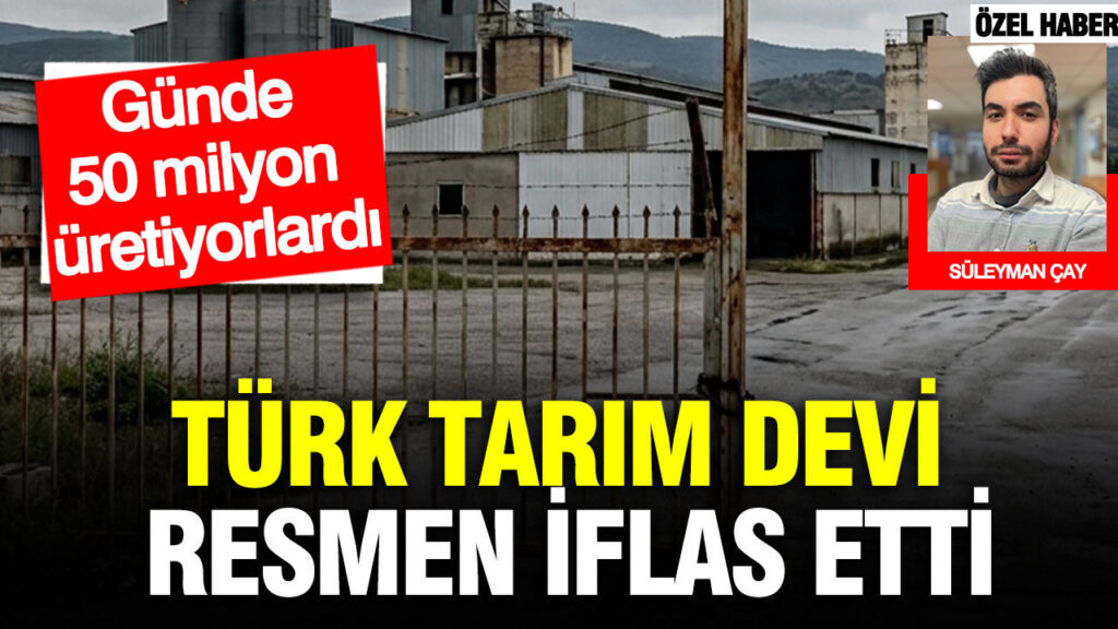Türkiye’nin Önde Gelen Tavukçuluk Şirketi İflas Etti: Günde 50 Milyon Yumurtayla Tanınıyordu