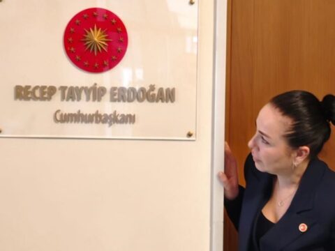 Haber gorseli