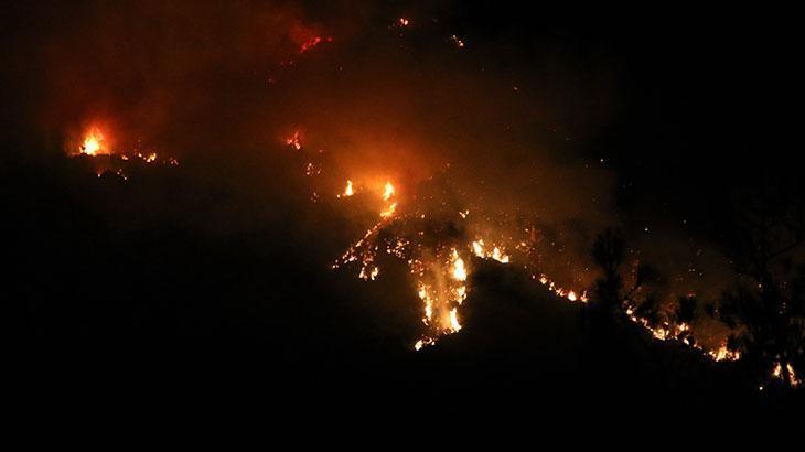 Haber gorseli